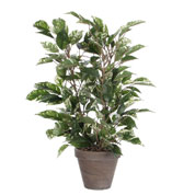 plante artificielle - ficus natasia - mica